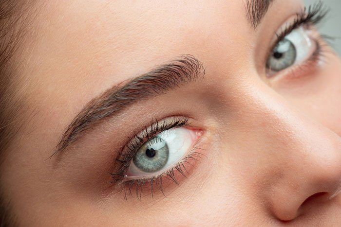 Microblading and ombre eyebrow permanent makeup by Nancy Akbari