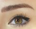 Microblading-Eyebrows-Pigmenter-Nancy-Akbari-www.cosmeticbybanou