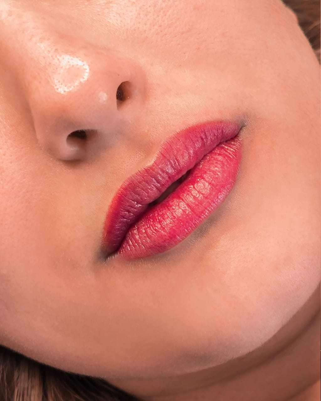 Full Lip Blush Nancy Akbari Cosmeticbybanou