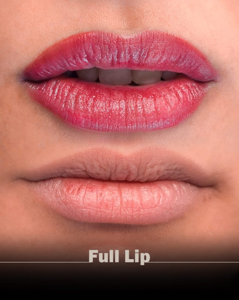 Full Lip Blush Nancy Akbari Cosmeticbybanou
