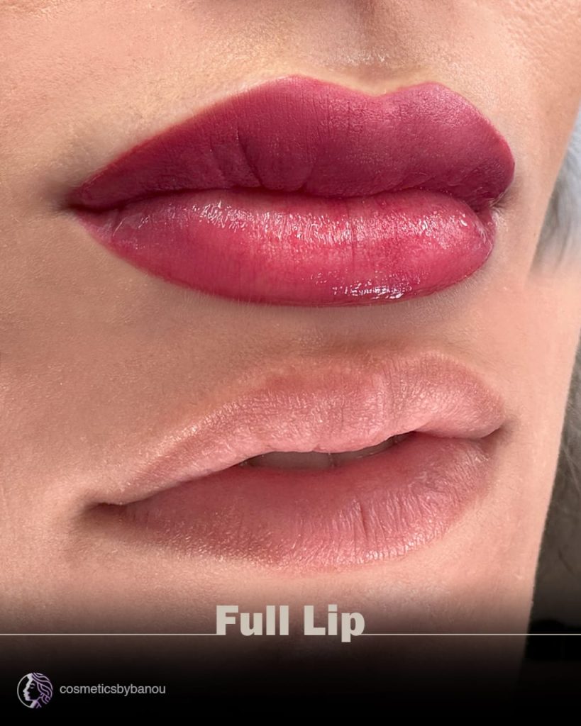 Full Lip Tattoo with Wine Shade Cosmeticbybanou