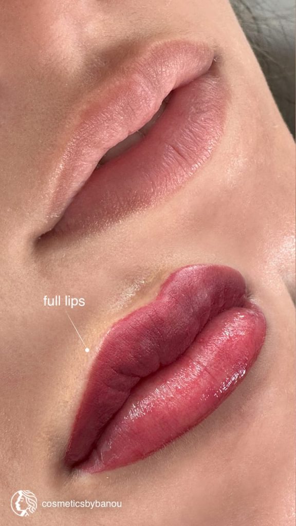 Full Lips Blush by Nancy Akbari Cosmeticbybanou