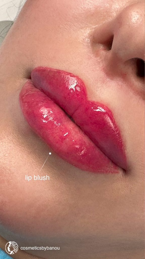 Natural Lip Tint Lip Blush by Nancy Akbari Cosmeticbybanou