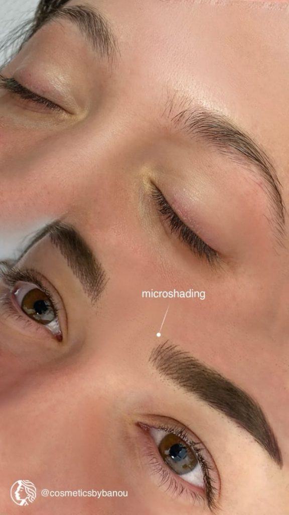 Ombre Microshading Brow by Nancy Akbari Cosmeticbybanou