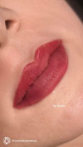 Permanent Lip Blush Transformation by Nancy Akbari Cosmeticbybanou