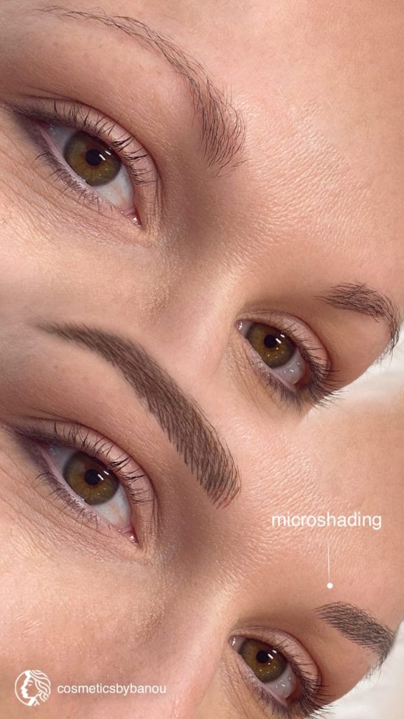 Soft Shaded Brows Microshading Transformation by Nancy Akbari COsmeticbybanou