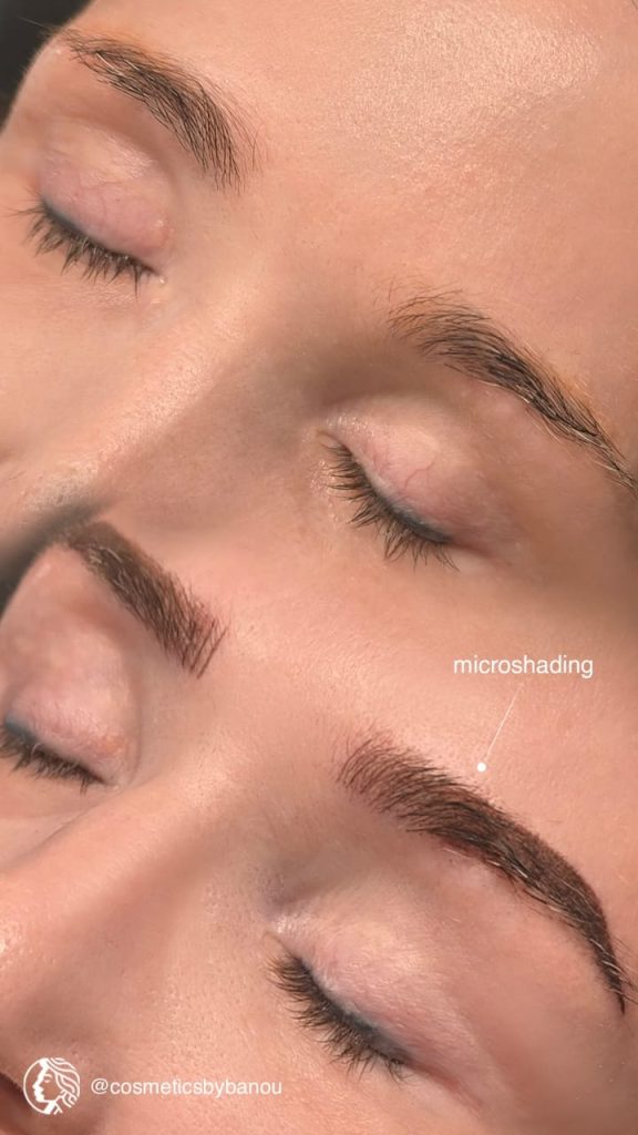 Microshading Eyebrow Beverly Hills by Nancy Akbari Cosmeticbybanou