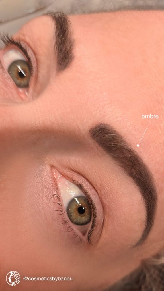 Soft and Natural Ombre Brows by Nancy Akbari Cosmeticbybanou